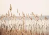 Magnetmatte für Heizkörperverkleidung, Beige Boho Reed, Produktbild-Vorschau 1