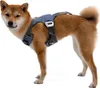 Ruffwear Load Up™ Samochodowe szelki bezpieczeństwa | Podgląd zdjęcia produktu 17