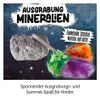 Ausgrabungsset Mineralien und Fossilien, sortiert, ab 5 Produktbild-Vorschau 1