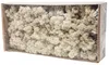 Dekorationsmaterial Islandmoos Natur 500g, 19 cm Breite, Produktbild-Vorschau 4