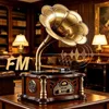Retro gramofon, gramofon s Bluetooth, fonograf, integrované Náhled obrázku produktu 5