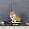 Table de toilettage pour chiens PAWHUT D01-035V01, Voir les images du produit 2