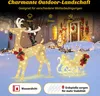 A festive outdoor Christmas scene with illuminated reindeer and sleigh decorations in the snow, with a house in the background. Náhled obrázku produktu