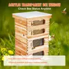 Bienenstock, 40 Rahmen, Zander Beute, mit Bienenwachs Produktbild-Vorschau 3