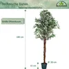 PLANTASIA Kunstpflanze Olivenbaum 180 cm Produktbild-Vorschau 4