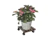 Multiroller PALISANDER nature 28 x 28 cm 4 roulettes Voir les images du produit 10
