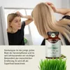 Achterhof Gerstengras Kapseln (180 Kapseln) Produktbild-Vorschau 3