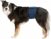 TRIXIE Windeln für Rüden, Mesh-Material, S–M: 37–45 cm, Produktbild-Vorschau 1