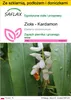 SAFLAX - Zestaw do uprawy - Zioła - Kardamon - 20 Nasiona - Podgląd zdjęcia produktu 1