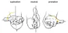 BakkerElkhuizen Evoluent4 Mouse piccolo senza fili (mano Anteprima dell’immagine prodotto 10
