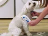 Elektrischer Flohkamm, dicht, für Hunde und Katzen Produktbild-Vorschau 11