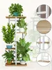 A multi-tiered plant stand with various potted plants. Produktbild-Vorschau