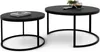 Two round coffee tables of different sizes, one smaller and one larger, are placed next to each other on a white background. The tables are black with metal frames. The larger table has a book, a cup of coffee, and a small plant on it. Voir les images du produit