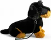 A plush toy dachshund with a leash, sitting on a white background. Produktbild-Vorschau