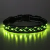 LED Hundehalsband – Leuchthalsband für Hunde, Produktbild-Vorschau 1