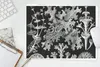MuchoWow® Mauspad Mousepad Kunst - Koralle - Ernst Haeckel Produktbild-Vorschau 5