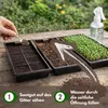 Samenshop24®  Keimsprossen "Brokkoli" Anzucht-SET,  Saat + Produktbild-Vorschau 3