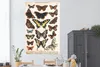 MuchoWow® Poster Schmetterlinge - Antiquitäten - Insekten - Produktbild-Vorschau 2