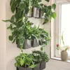 LECHUZA Green Wall Home Kit Glossy, Sadzarka w doniczce, Do Podgląd zdjęcia produktu 16