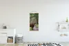 MuchoWow® Textilposter Schottisches Hochlandrind - Kröte - Produktbild-Vorschau 2