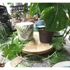 Servierbrett auf Fuß, Mangoholz, Höhe: 60 mm, ø: 290 mm Produktbild-Vorschau 4