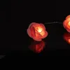 Guirlande lumineuse « Roses » de Relaxdays, guirlande Voir les images du produit 7