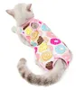 Traje de recuperación postoperatorio para gatos – Talla S – Vista previa de la imagen del producto 3