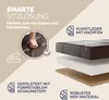 Infographic detailing the features of a storage bench. Anteprima dell’immagine prodotto