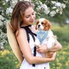 Bandana pour chien - 30 cm - Bleu Voir les images du produit 4