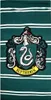CERDÀ - Mikrofibrowy ręcznik plażowy Slytherin Harry Potter Podgląd zdjęcia produktu 1