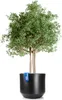 BigDean Blumentopf Style ø 58 cm anthrazit mit Produktbild-Vorschau 1
