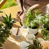 Danke dass du mir beim Wachsen geholfen hast Blumentopf aus Produktbild-Vorschau 5