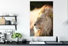 MuchoWow® Poster Profil- Löwe - Tiere 80x120 cm - Produktbild-Vorschau 3