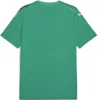 Puma teamULTIMATE Trikot Kinder grün weiß Gr 128 Produktbild-Vorschau 2