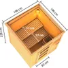 Karibu Saunahaus Außensauna Gartensauna Pepe 2 + 9kw -Ofen Produktbild-Vorschau 4