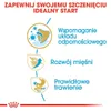 Royal Canin Boxer Junior, Welpe, Boxer, Groß (26-44 kg), Produktbild-Vorschau 3