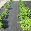 Bändchengewebe – effektive Unkrautfolie für Ihre Beete – Produktbild-Vorschau 10