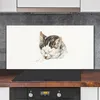 Coloray Küchenrückwand 120x60 Spritzschutz aus Glas - Produktbild-Vorschau 2