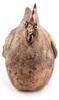 Spardose Huhn, handgefertigt aus Steinzeug, mit Produktbild-Vorschau 6