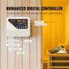 A digital controller for a sauna is mounted on a wooden wall, with labels pointing to its various functions. Anteprima dell’immagine prodotto