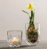 A clear glass votive holder with a lit candle and a glass vase with a daffodil bulb and plant. Anteprima dell’immagine prodotto