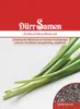 Schnittknoblauch | Schnittknoblauchsamen von Dürr Samen Produktbild-Vorschau 1