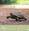 Never give up! Postkartenkalender 2027 - Durchhalten. Denn Produktbild-Vorschau 15
