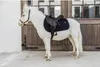 Kentucky Horsewear Glitter Stone Schabracke Produktbild-Vorschau 3
