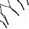 Close-up of a string of LED lights with black wires and warm white bulbs. Náhled obrázku produktu