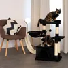 Two cats are playing on a black cat tree next to a brown chair with a black and white pillow. Anteprima dell’immagine prodotto