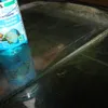 JBL ProClean, 250 ml, flacone, blu, vetro, 250 g, 155 mm Anteprima dell’immagine prodotto 8