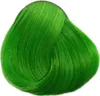 La Richè Directions Spring Green 89 ml Produktbild-Vorschau 5