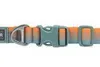 Collier pour chien Ruffwear Front Range™ Voir les images du produit 3