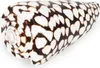 Conus marmoreus 8 cm Kegelschnecke Schneckenhaus maritime Produktbild-Vorschau 2